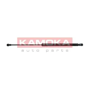 7092493 KAMOKA