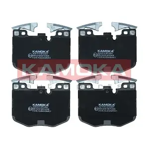 JQ101072 KAMOKA