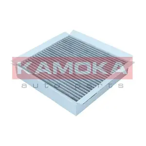 KAMOKA F520301