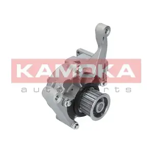 T0167 KAMOKA