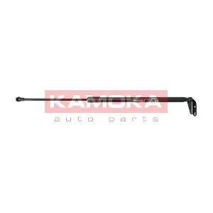 7092393 KAMOKA