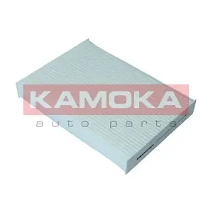KAMOKA F419401
