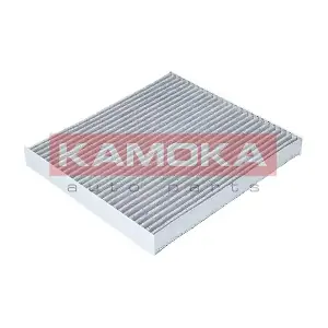 KAMOKA F505401