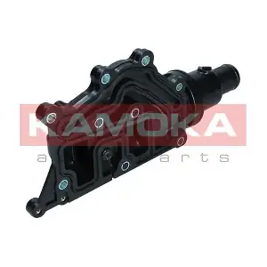 7710179 KAMOKA