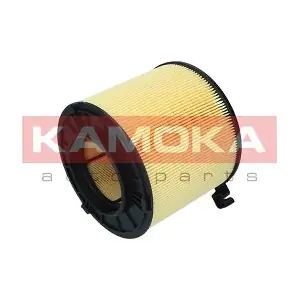 KAMOKA F254901