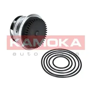 T0273 KAMOKA