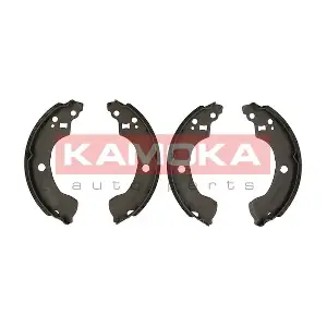 JQ202038 KAMOKA