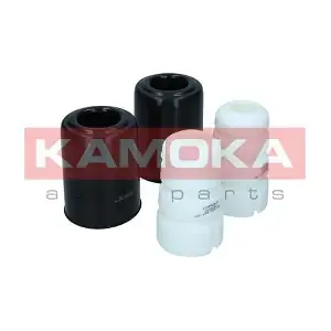 2019193 KAMOKA