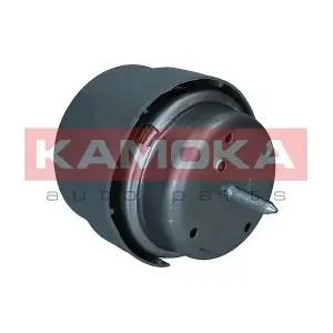 890501 KAMOKA