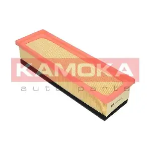 KAMOKA F228101