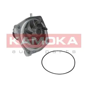 T0006 KAMOKA