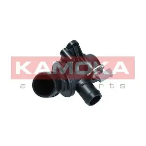 7710187 KAMOKA