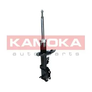 2000497 KAMOKA