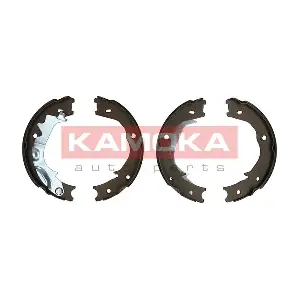JQ212057 KAMOKA