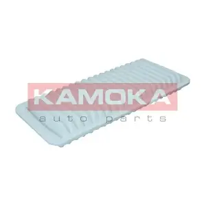 F260301 KAMOKA