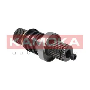VW111002 KAMOKA