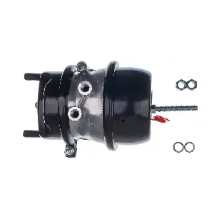 BC20003 DENCKERMANN