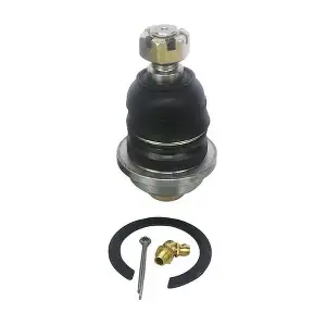 D110029 DENCKERMANN