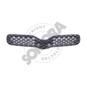 310207 SOMORA