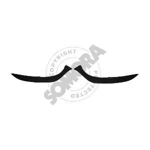 241317 SOMORA