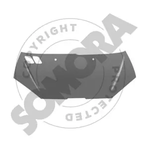 221308 SOMORA