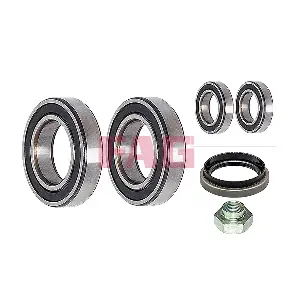 713625130 Schaeffler FAG