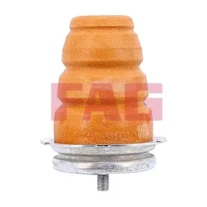 810 0069 10 Schaeffler FAG