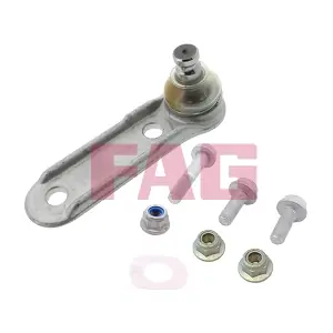 825015510 Schaeffler FAG
