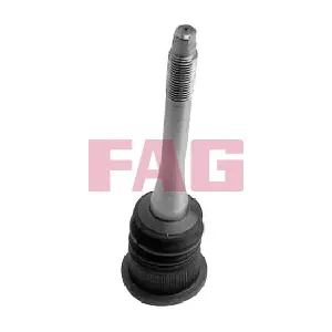 825 0238 10 Schaeffler FAG