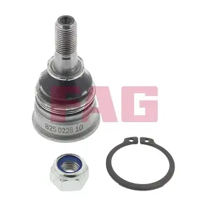 825 0228 10 Schaeffler FAG