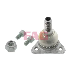 825014610 Schaeffler FAG