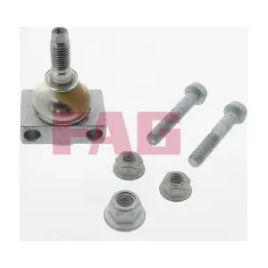 Schaeffler FAG 825009310
