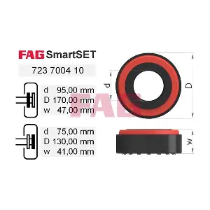 723 7004 10 Schaeffler FAG