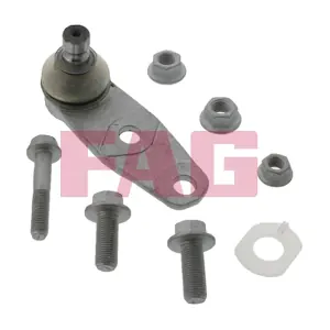 825 0258 10 Schaeffler FAG