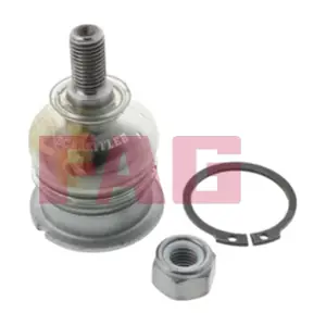 825003810 Schaeffler FAG