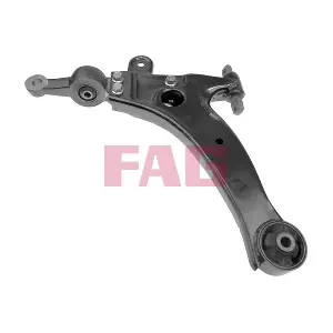 821 0098 10 Schaeffler FAG