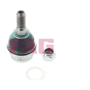 825 0243 10 Schaeffler FAG