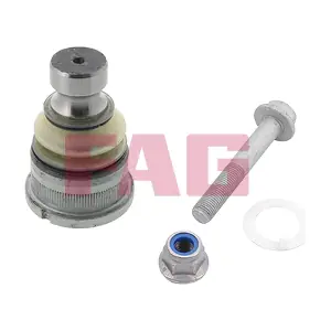 825 0300 10 Schaeffler FAG