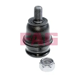 825 0077 10 Schaeffler FAG