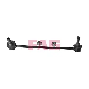 818 0389 10 Schaeffler FAG