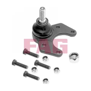 825015910 Schaeffler FAG