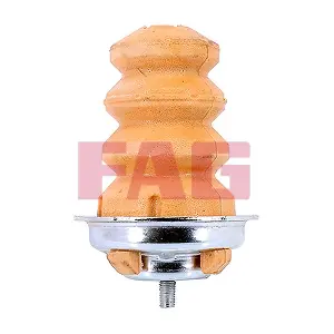 810 0070 10 Schaeffler FAG