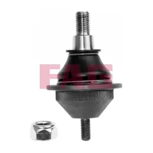 825 0193 10 Schaeffler FAG