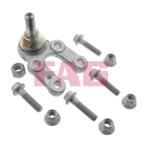 825 0109 10 Schaeffler FAG