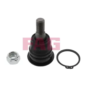 825 0002 10 Schaeffler FAG