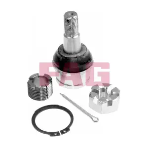 825 0089 10 Schaeffler FAG