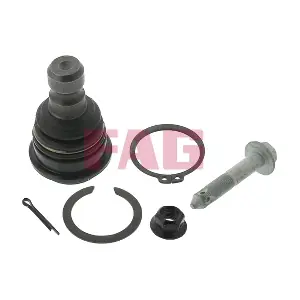 825008110 Schaeffler FAG
