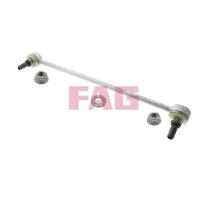 818 0067 10 Schaeffler FAG