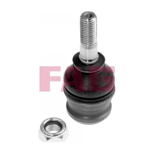 825 0067 10 Schaeffler FAG