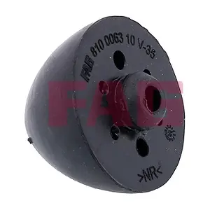 810 0063 10 Schaeffler FAG